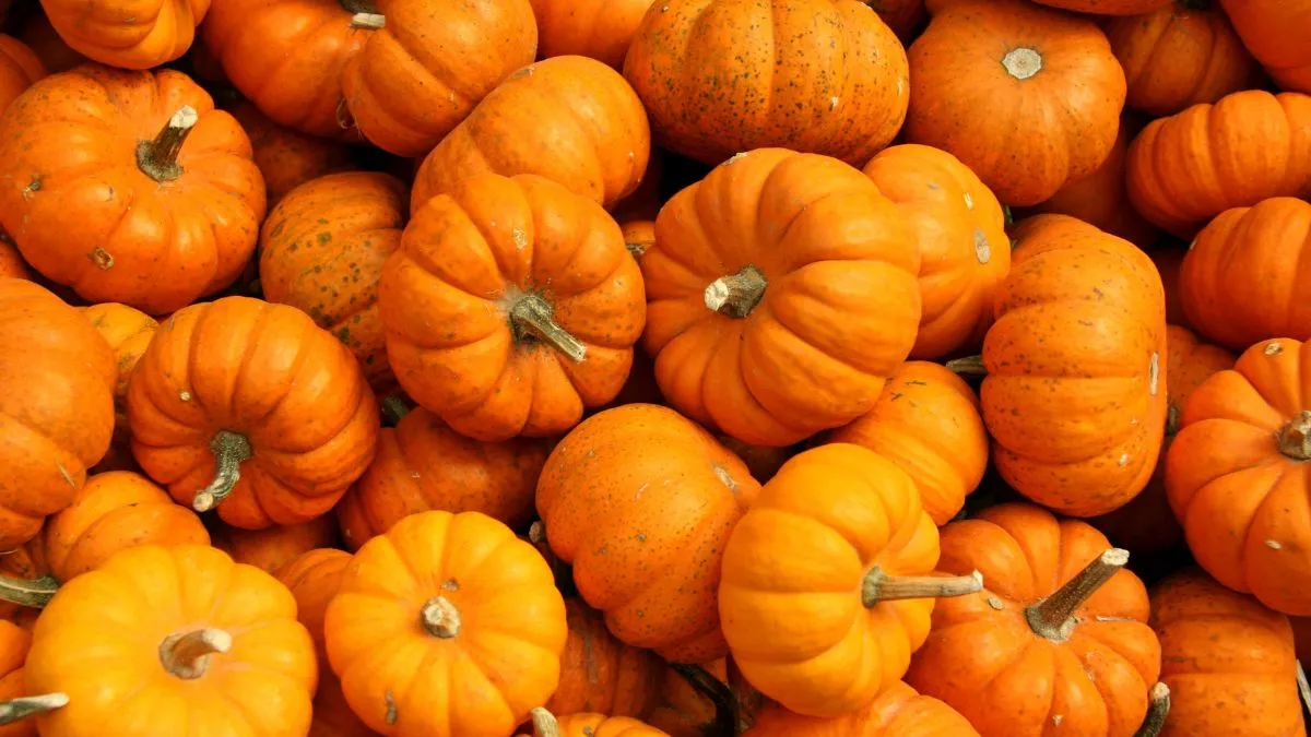 Which is the National Vegetable of India?