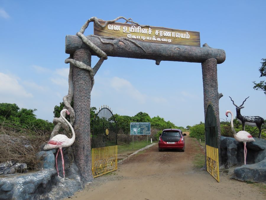 Point_Calimere_Wildlife_and_Bird_Sanctuary