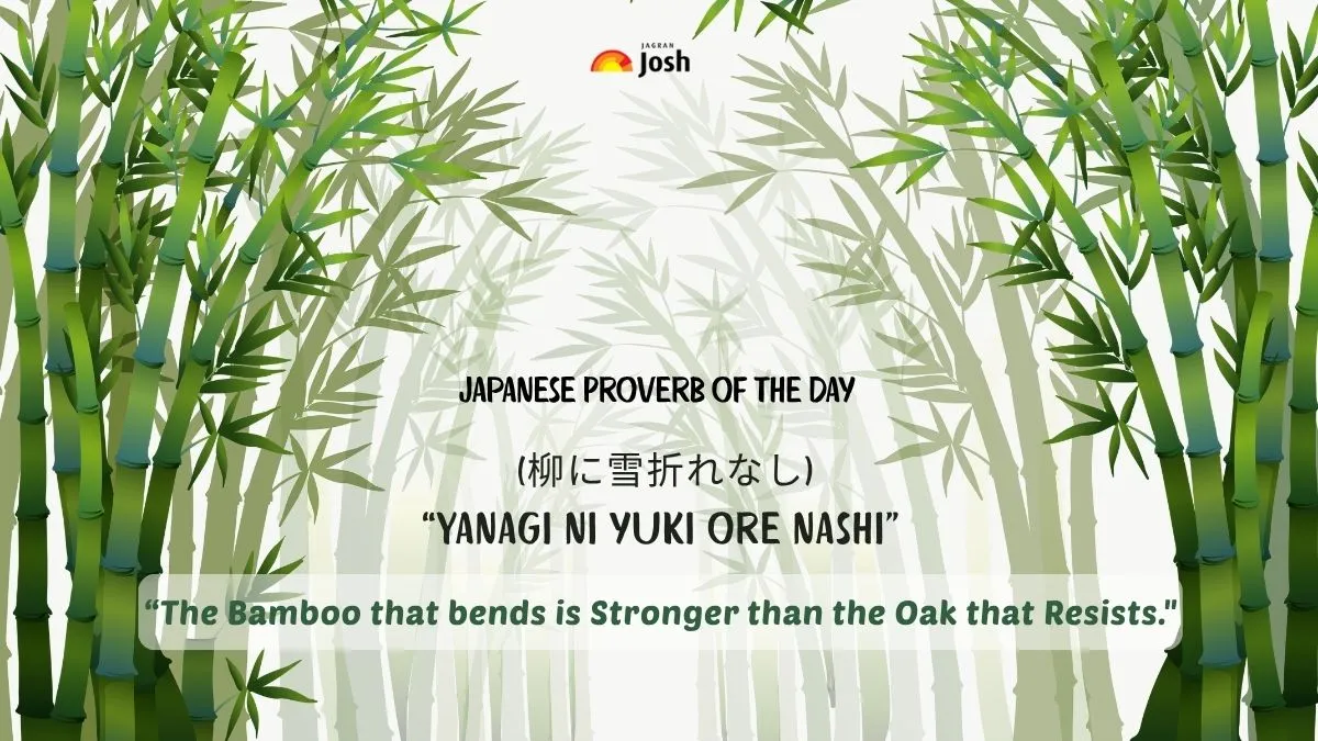 Japanese Proverb of the Day: “The Bamboo that bends is Stronger than the Oak that Resists"