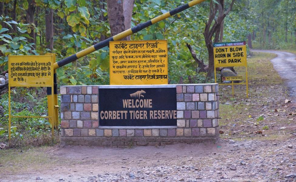 Which National Park Has the Highest Number of Tigers in India-1
