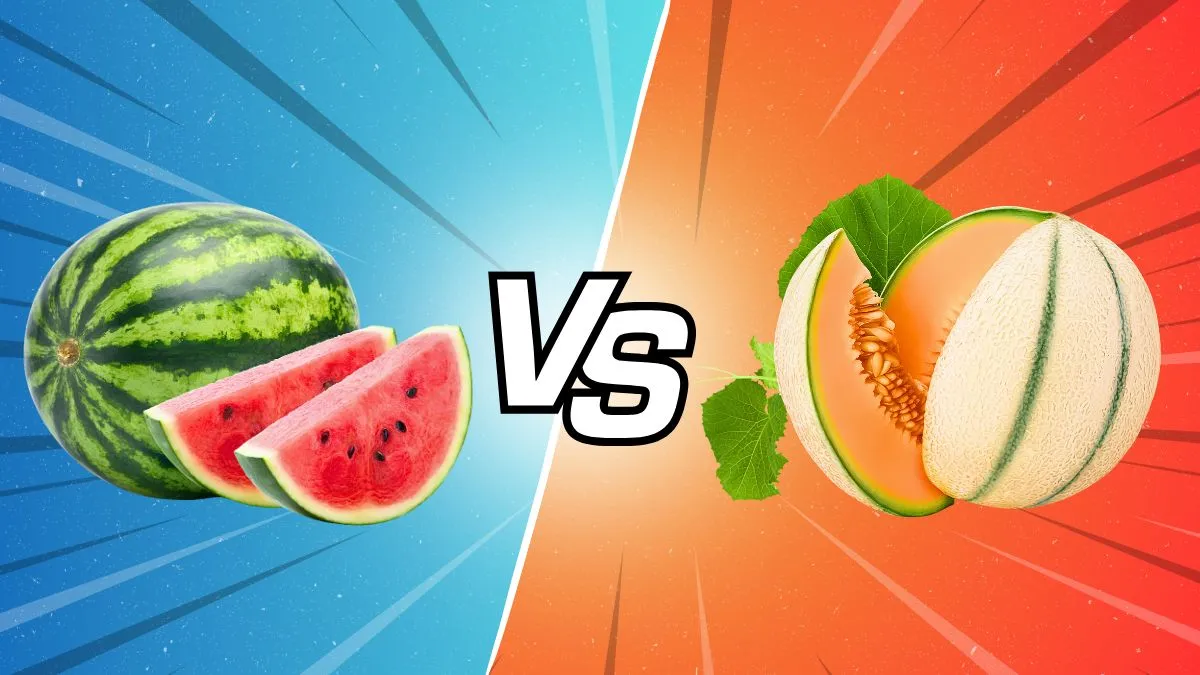 Watermelon vs Muskmelon 2024