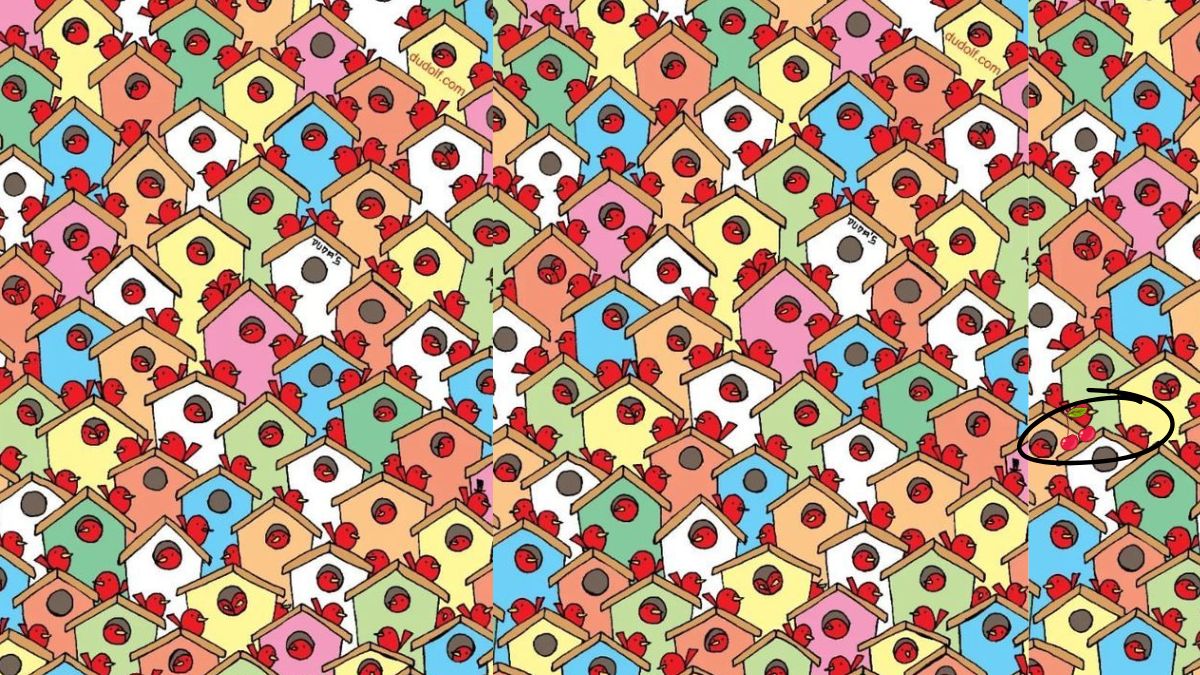 optical-illusion-solution