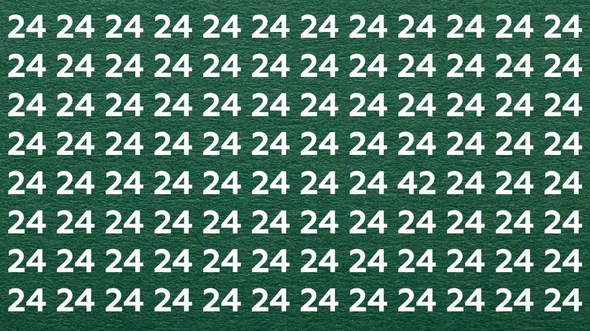 Optical Illusions 2024: Can You Find the Hidden 42?