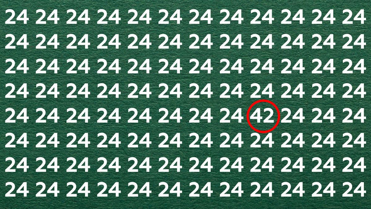 optical illusion find 42 among 24 solved