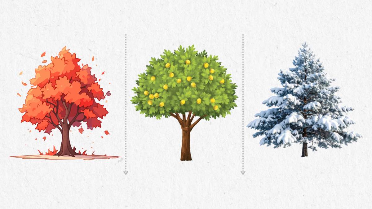 tree (3)