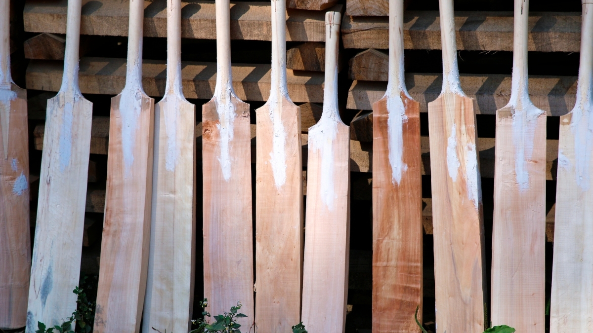 cricket bats (1)