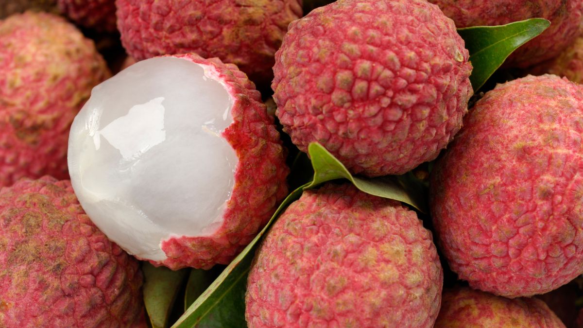 litchi (1)
