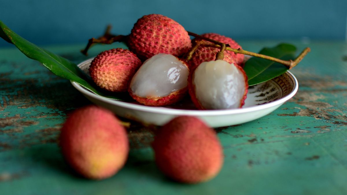 litchi capital