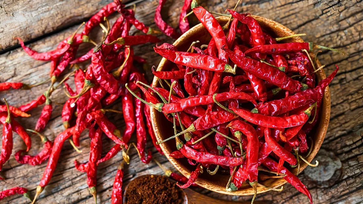 Which City Is Known as the Chilli Capital of India?🌶️
