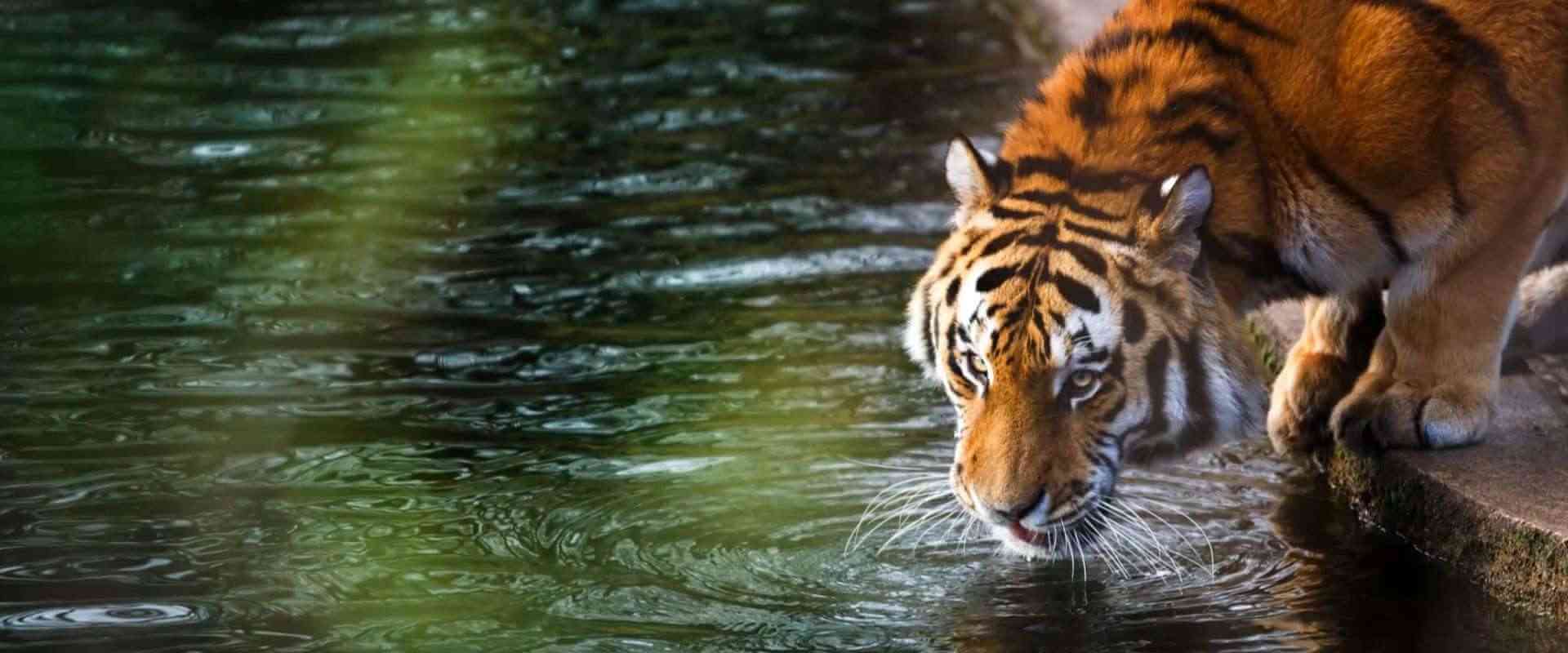 oldest-zoo-in-india