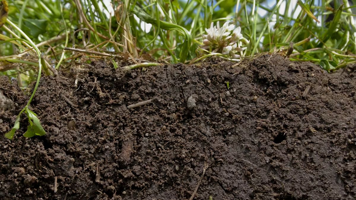 soil-type-in-uttar-pradesh