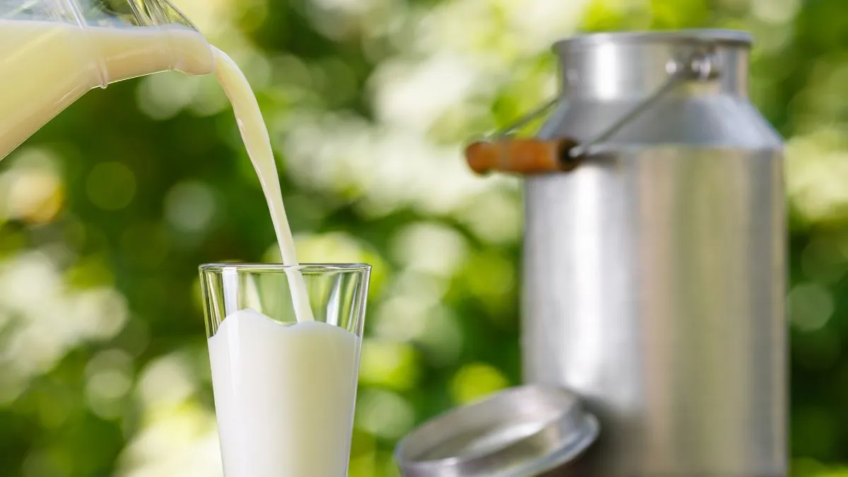 Milk Production in Asia 2024: Key Facts