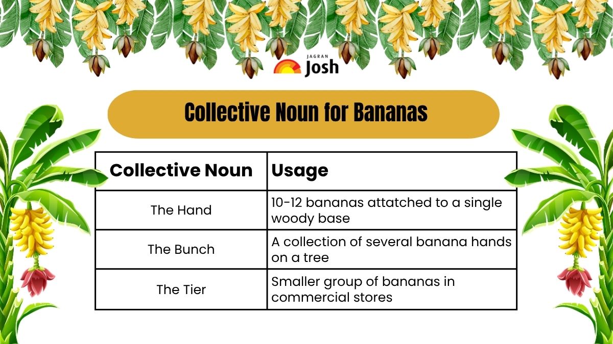 Collective Noun for Bananas