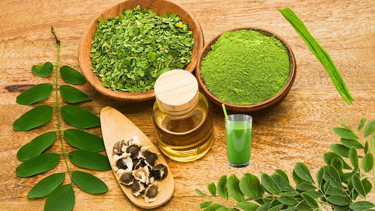 Moringa  (2)