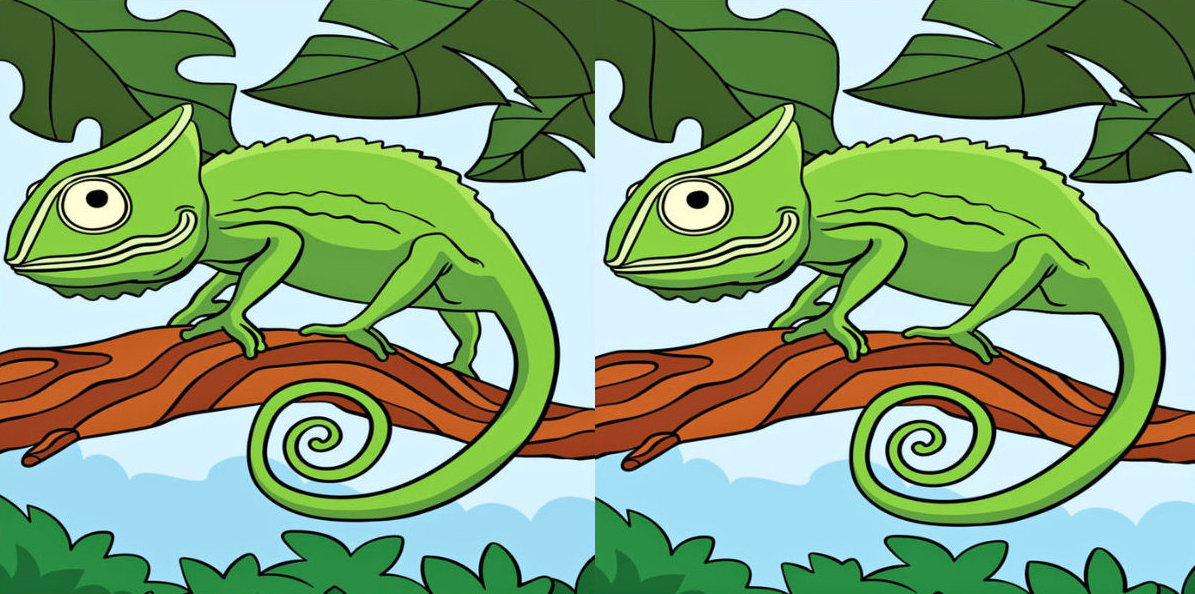 Spot the differences question