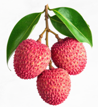 lichi 2