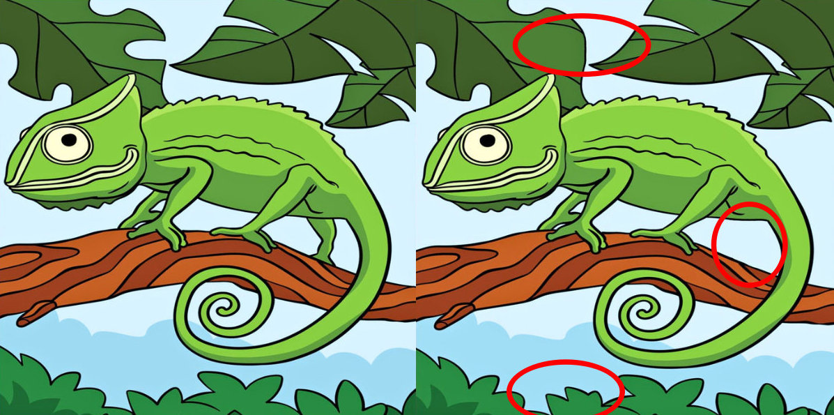 spot the differences solution