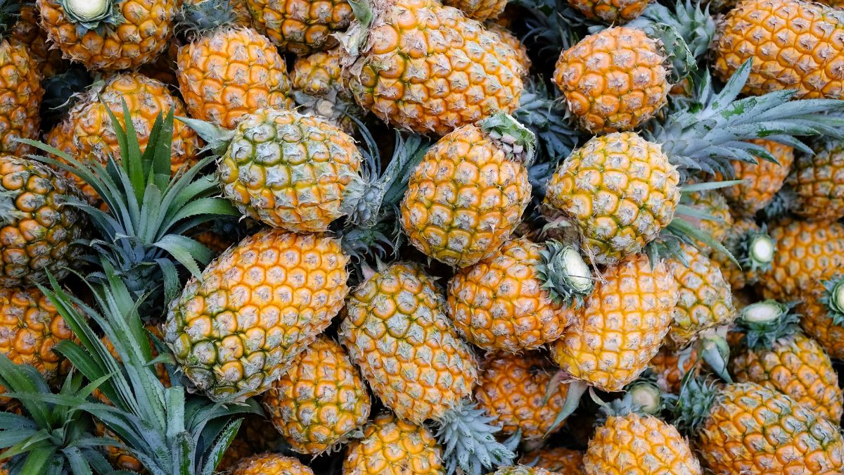 PINEAPPLE