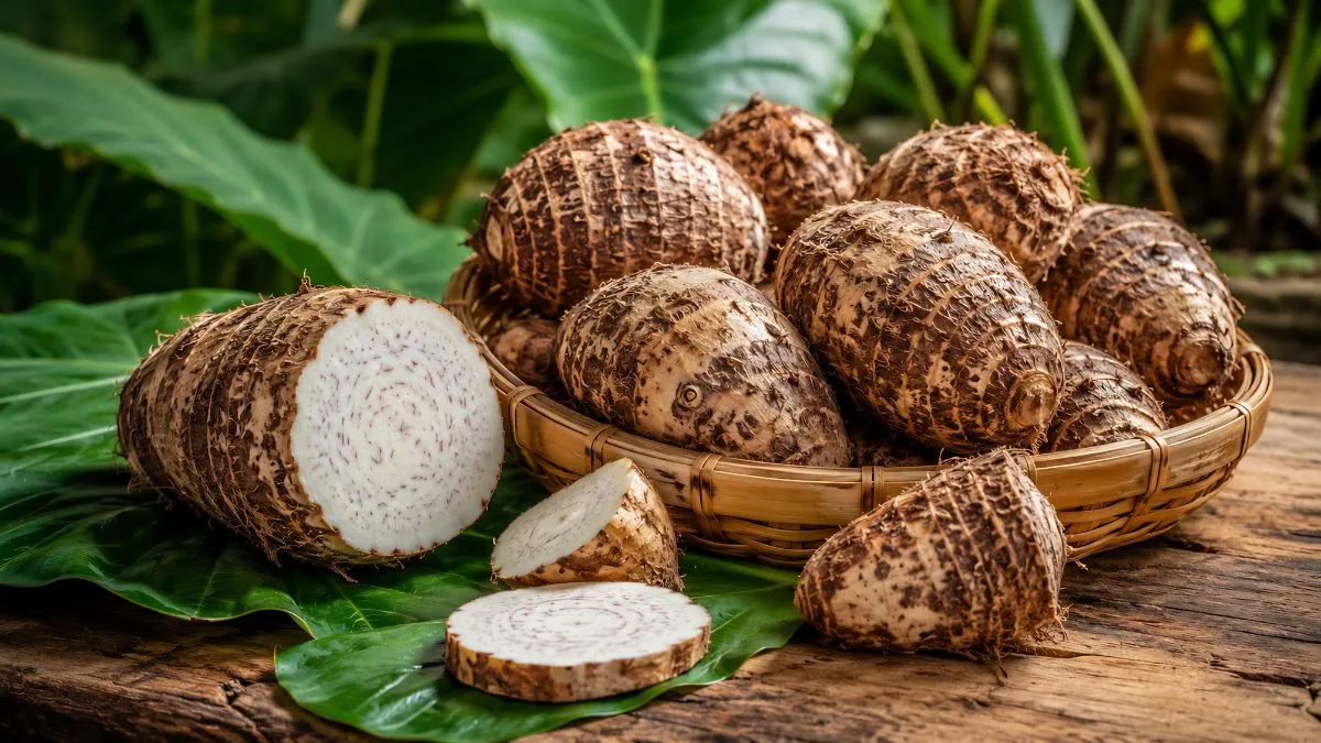 What is Arbi Called in English?