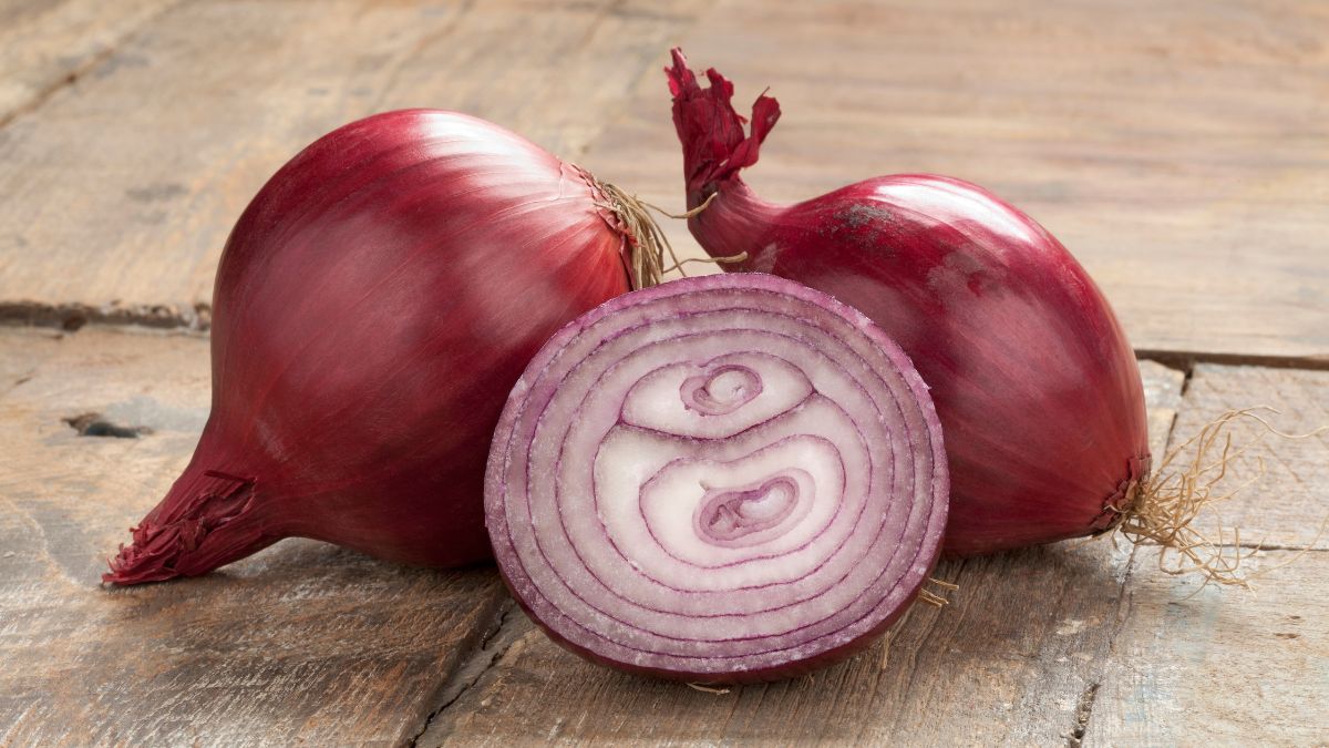 Largest Producer of Onion in India