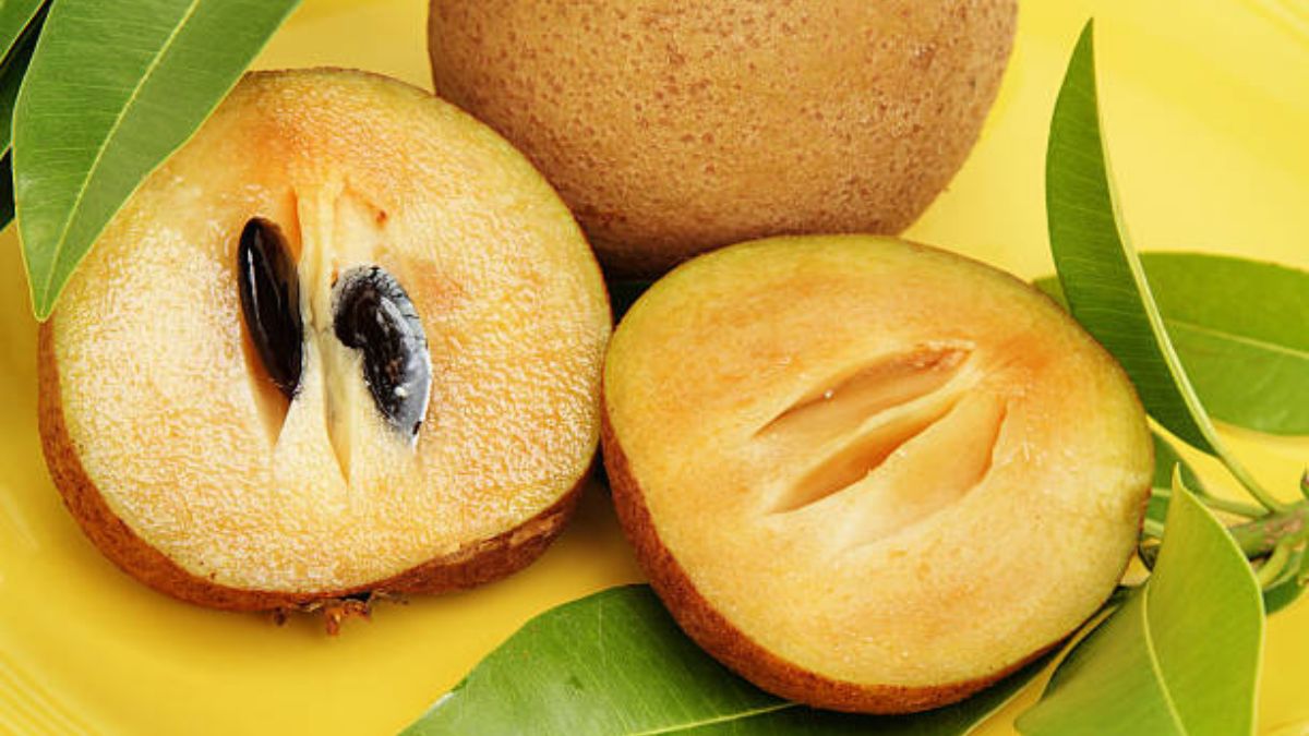 largest producer of chiku