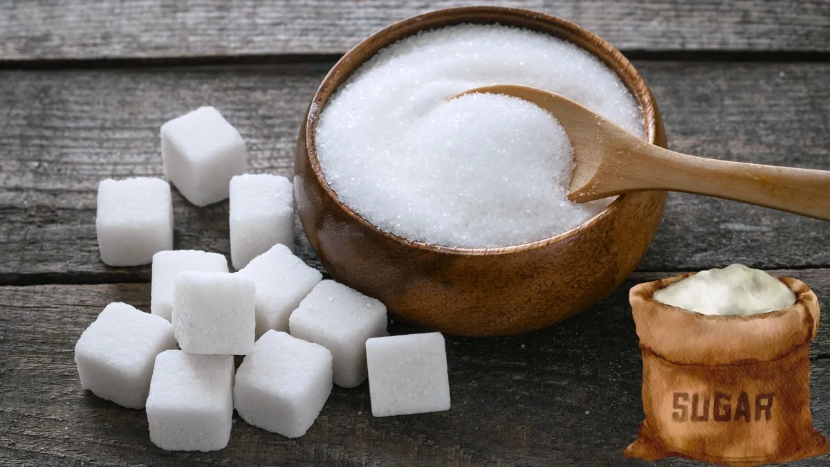 Which Country is the Largest Exporter of Sugar in the World?