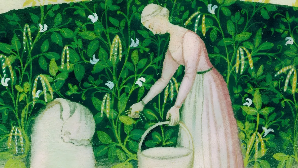 What is the Oldest Vegetable We Still Eat Today?