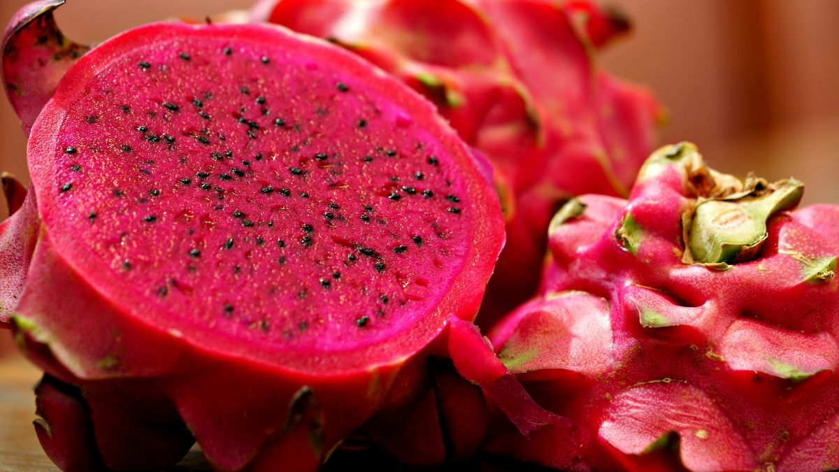 dragon fruit