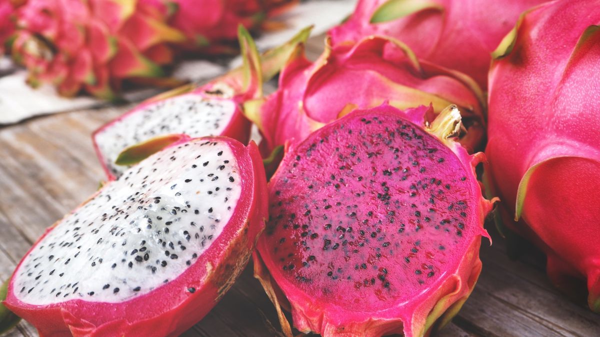 largest producer of dragon fruit