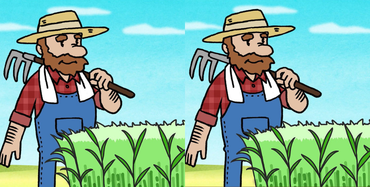 spot differences farmer