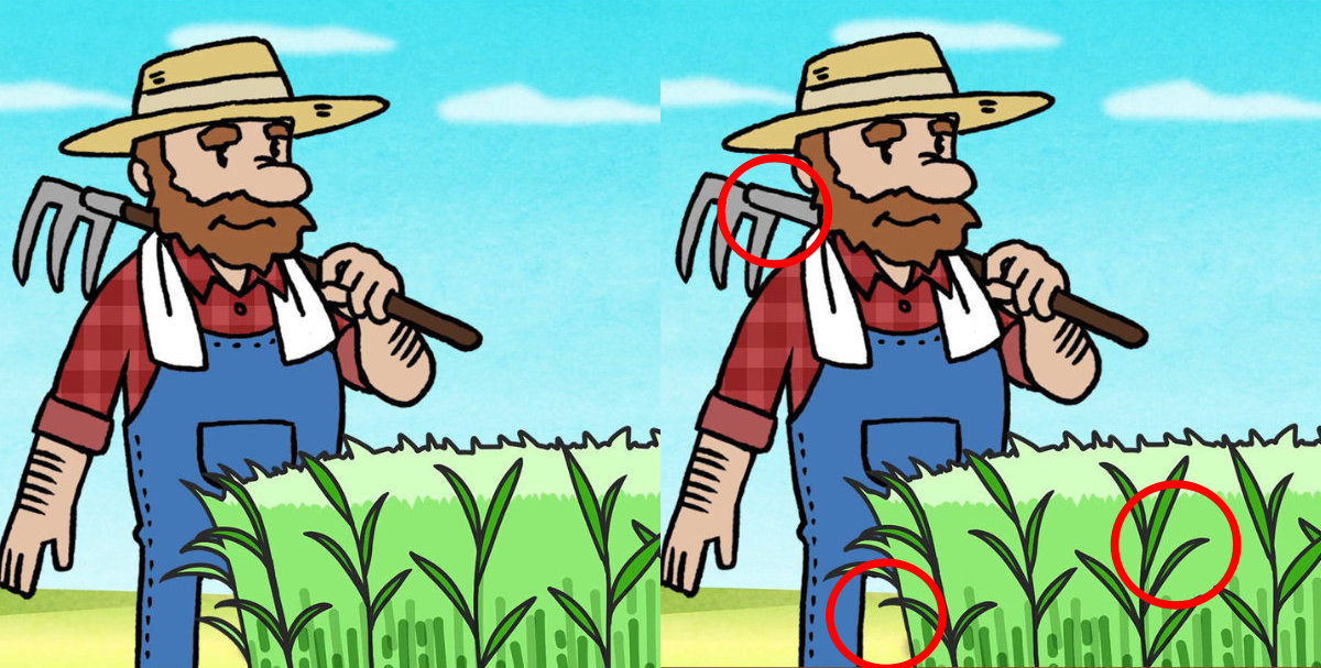spot differences farmer solution