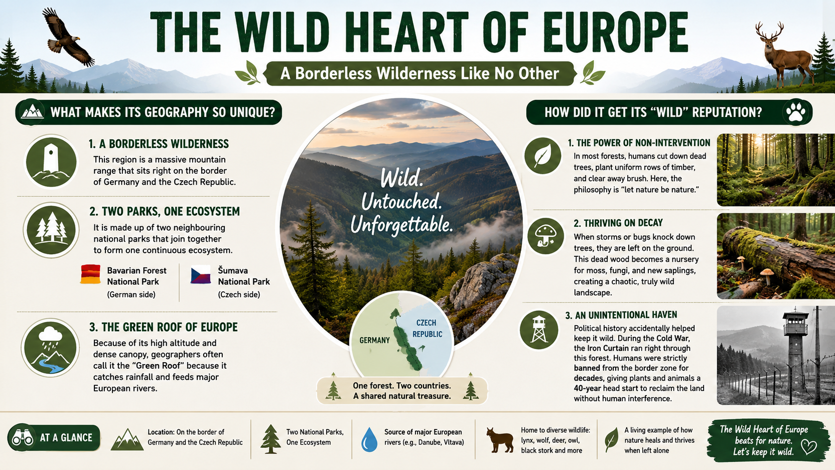 which-forest-is-known-as-the-wild-heart-of-europe-created-by-ai-originally-made-by-jagran-josh