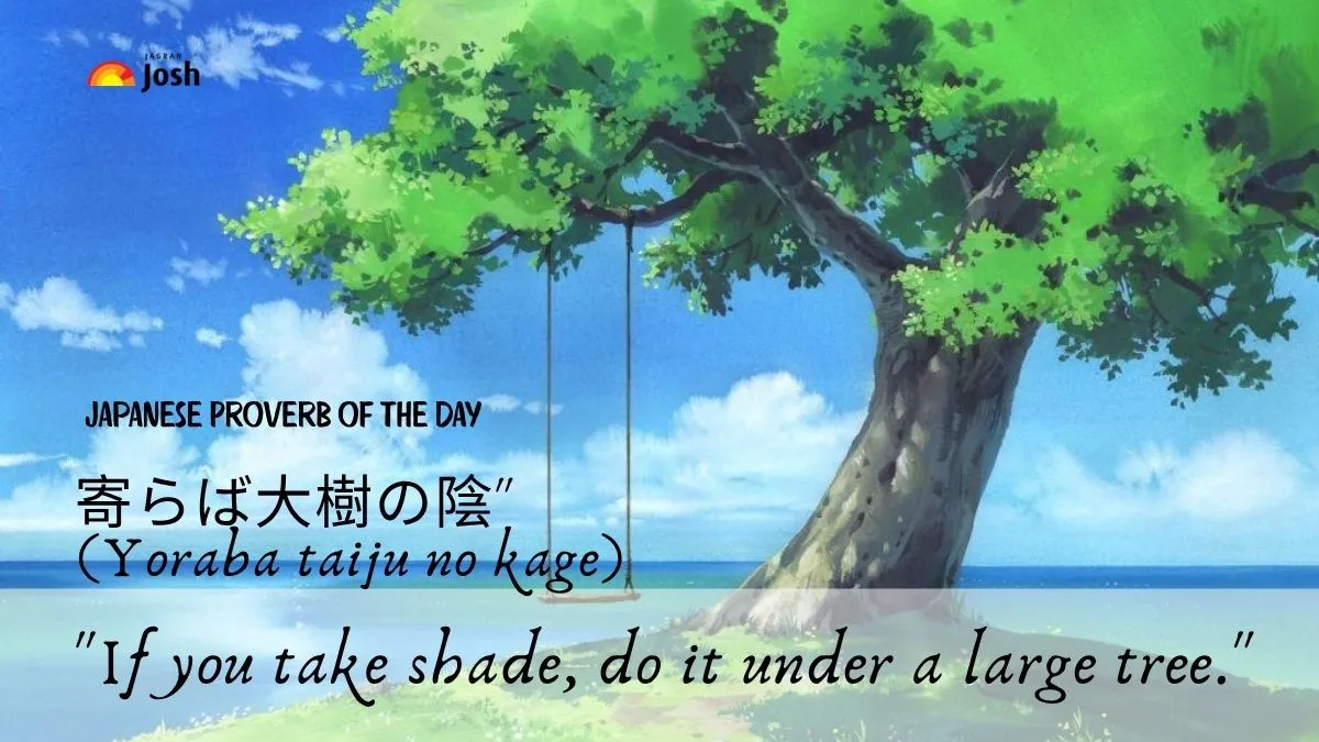 Japanese Proverb: "If you take shade, do it under a large tree"
