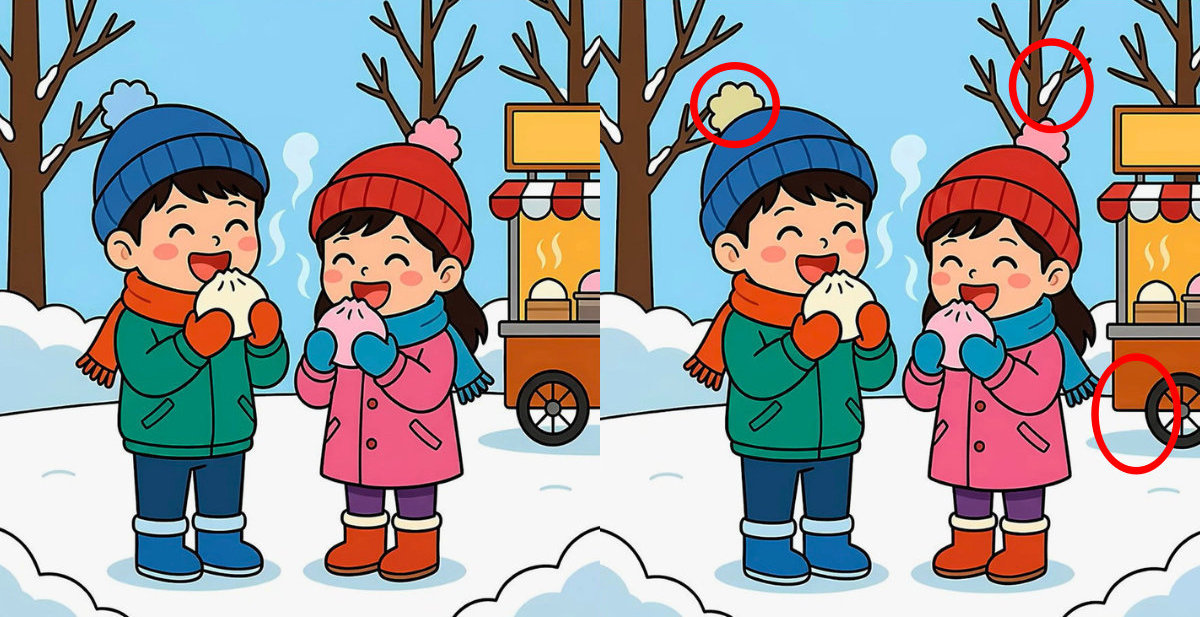 Spot the 3 differences solution