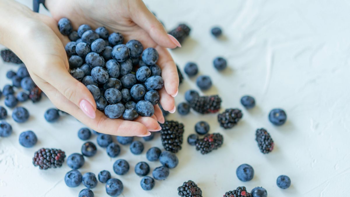 largest blueberry producer in the world