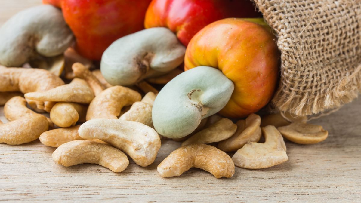 cashew capital