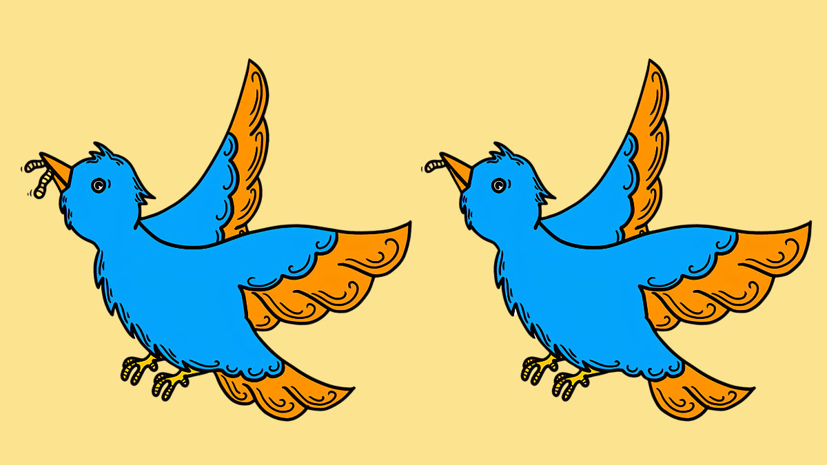 Spot 3 Differences Bird Flying