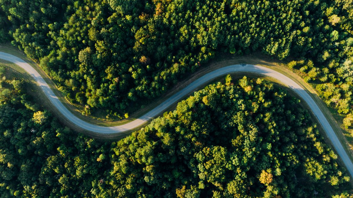 largest rainforest