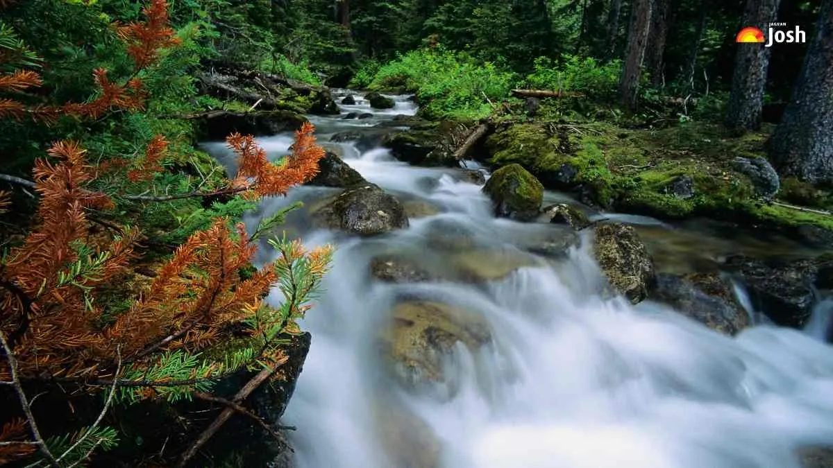 Which River Splits the U.S. in Half?