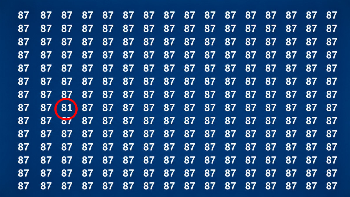 optical illusion find 81 hidden in 87s solution