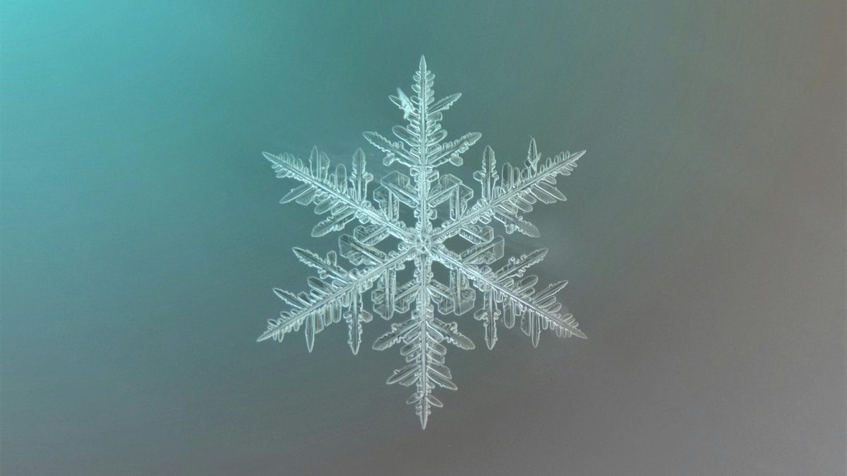 Snow Flakes