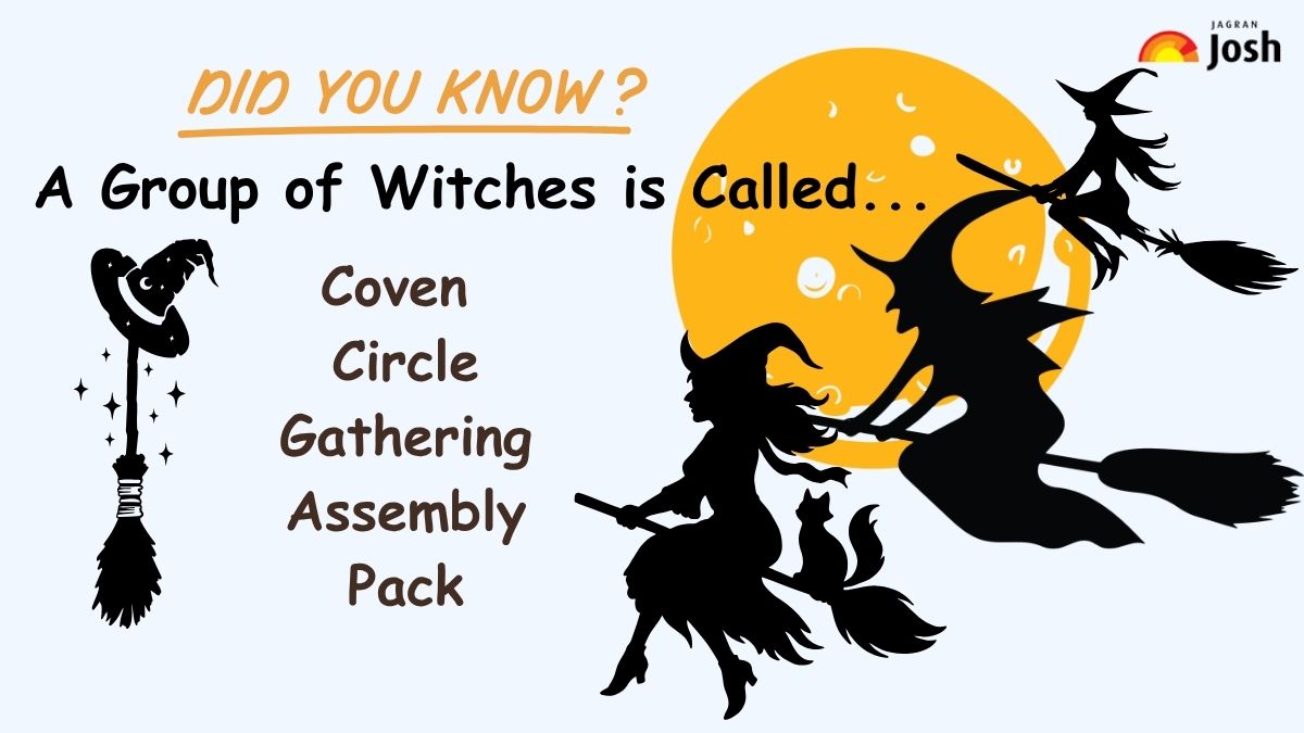 A Group of Witches is Called...