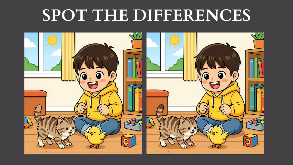 Spot the differences