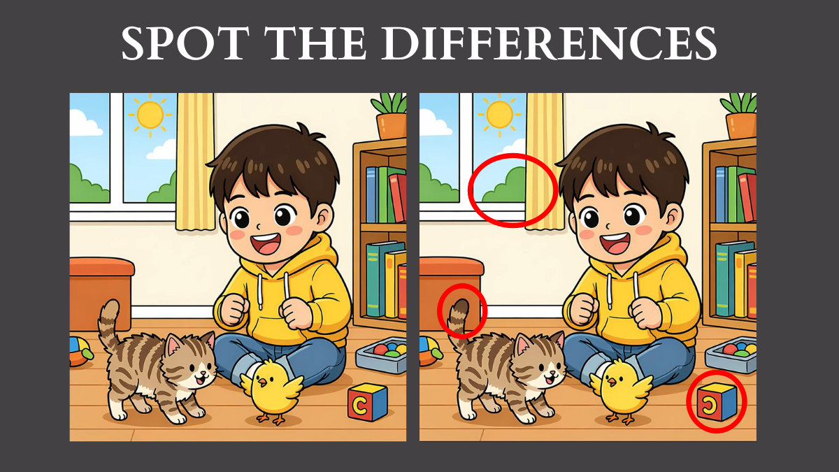 Spot the differences solution