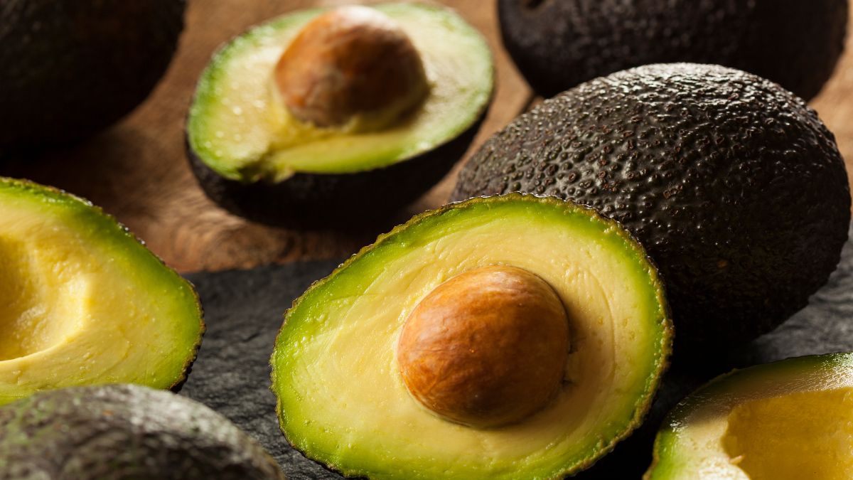 avocado producer of the world