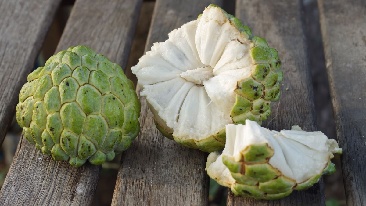 custard apple