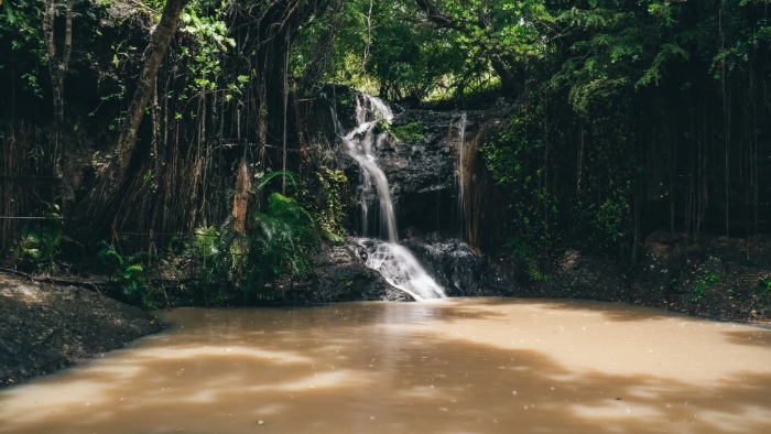 LaTille-falls-and-garden