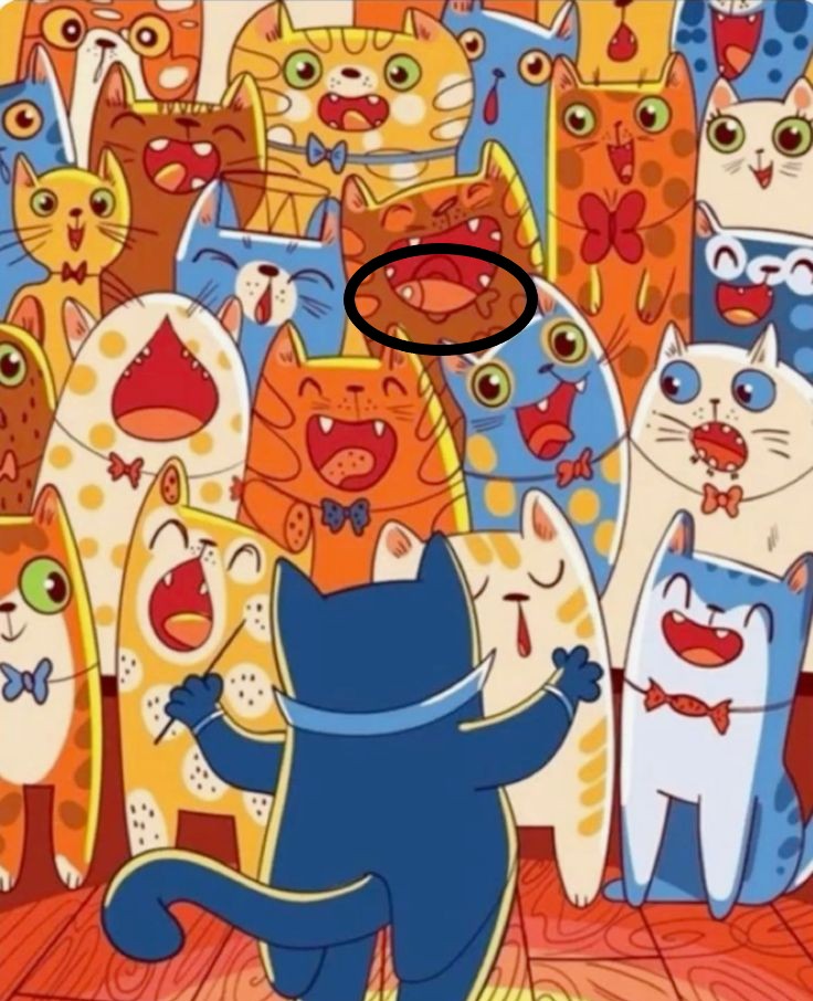 find the hidden fish solution