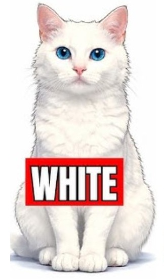 pick-a-cat-personality-test-white-cat