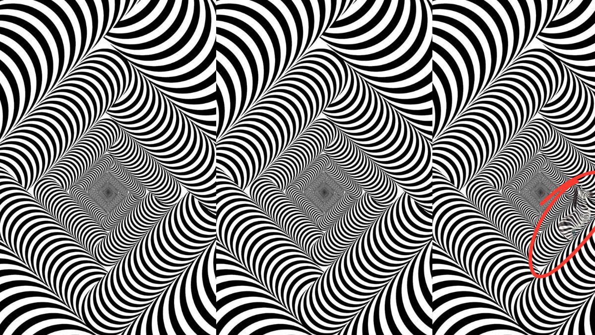 optical-illusion-solution